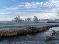 Morgenstimmung bei Frostwiese am Mühlbach nahe Prien-Schafwaschen mit Nebelstimmung